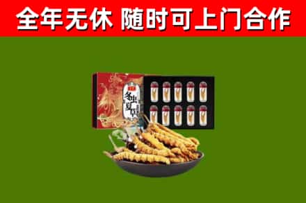 济南烟酒回收冬虫夏草礼盒.jpg
